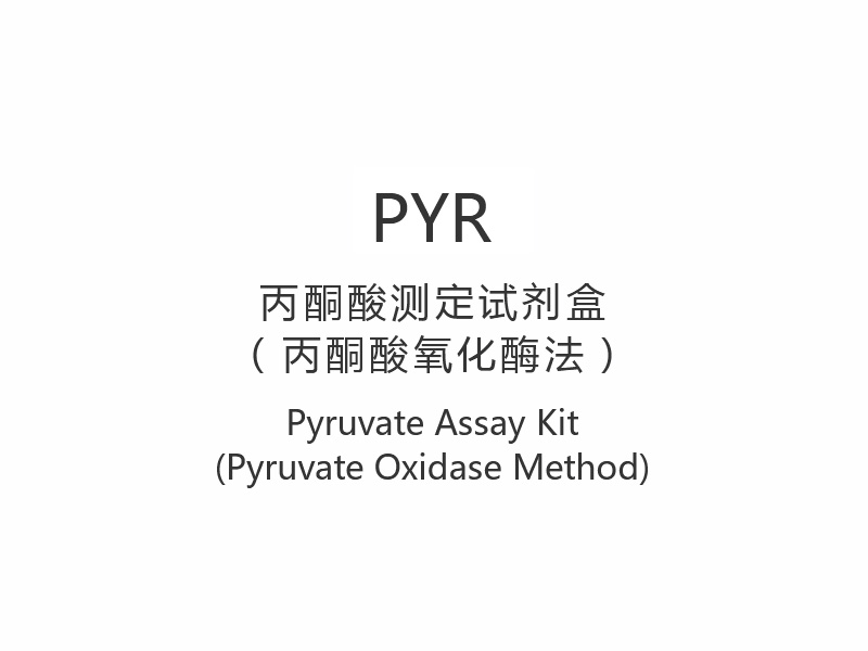 【PYR】Pyruvaattestkit (Pyruvaatoxidasemethode)
